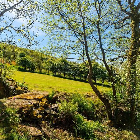 Hotel Hole House Farm Millom Exterior foto